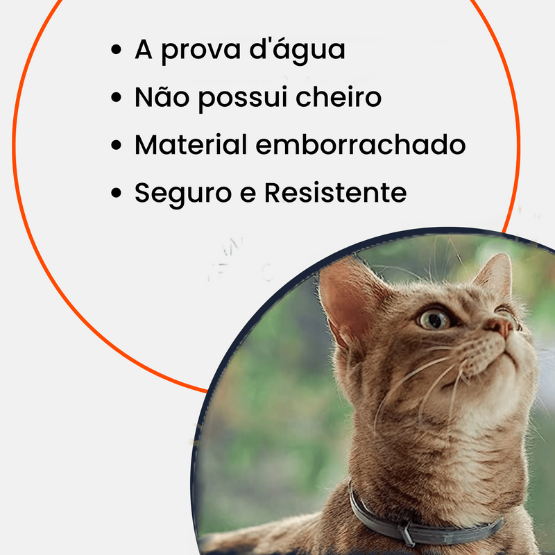 Colar Anti Pulgas e Carrapatos - 8 Meses de Proteção